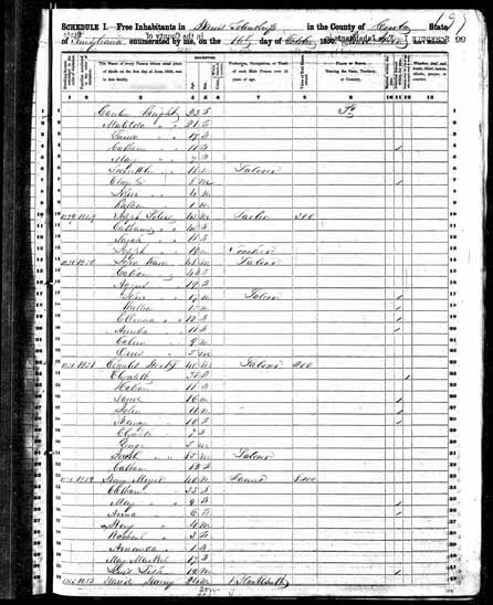 1850 United States Federal Census - David M Henney.jpg