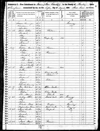1850 United States Federal Census - Johanna Helena.jpg