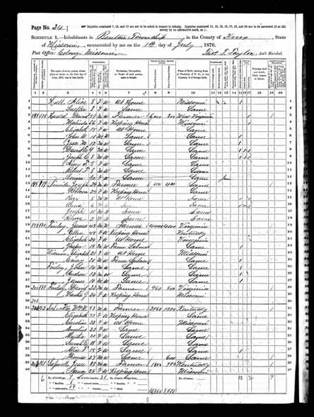 1870 United States Federal Census - David Hustead.jpg