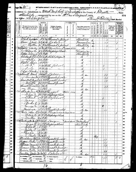 1870 United States Federal Census - Elizabeth Norton.jpg