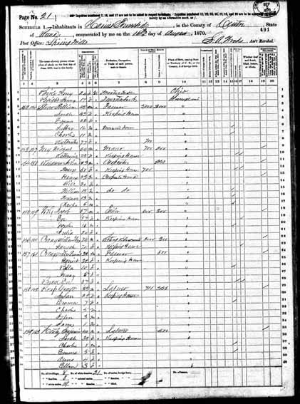 1870 United States Federal Census - Eve Stover.jpg
