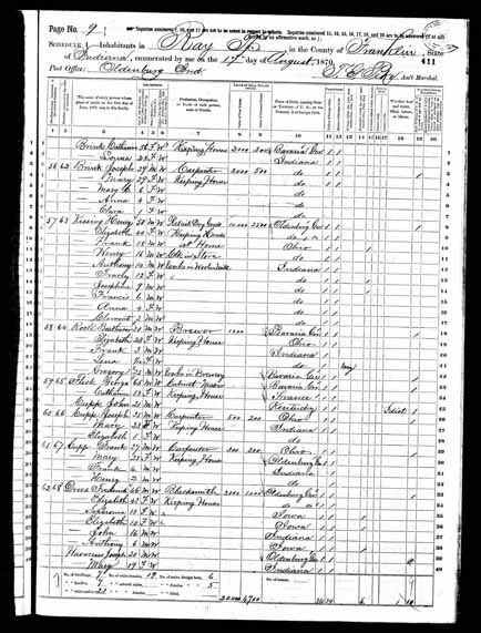 1870 United States Federal Census - Magdalena Roell.jpg