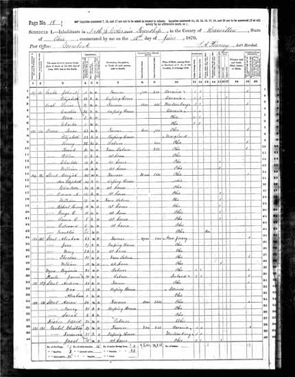 1870 United States Federal Census - Theodore Stout.jpg