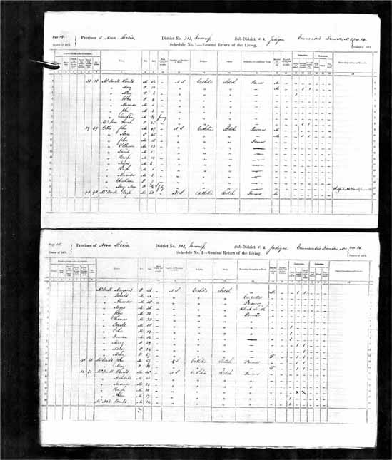 1871 Census of Canada - John Gillis.jpg