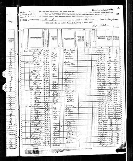 1880 United States Federal Census - Albert Ladner.jpg