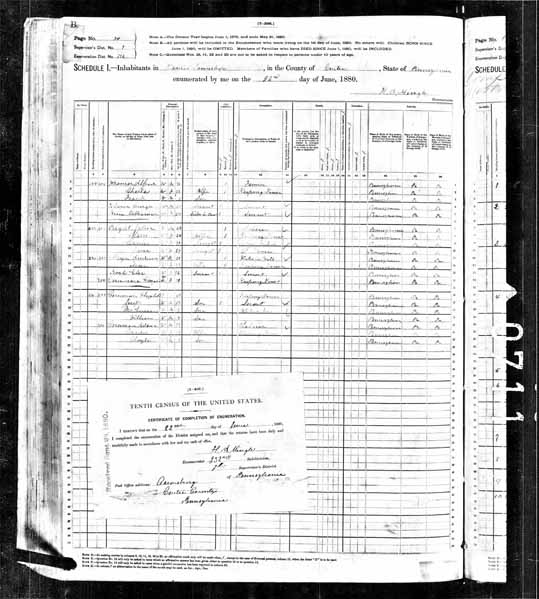 1880 United States Federal Census - Alfred Frankli.jpg