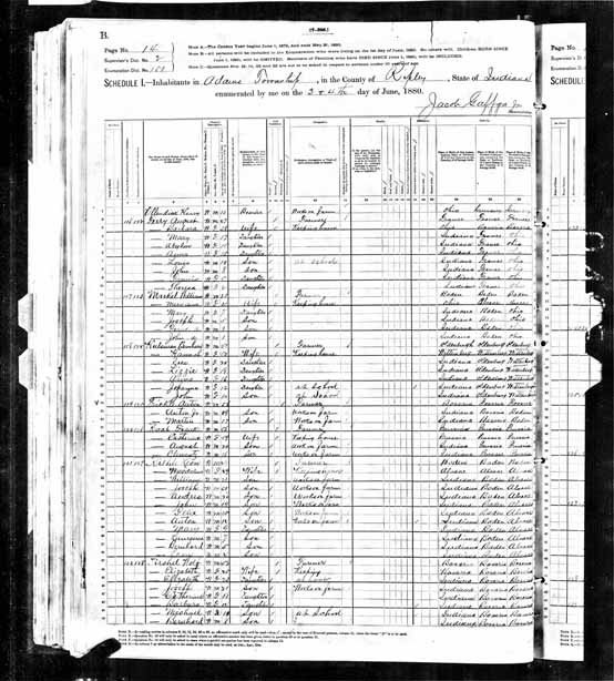 1880 United States Federal Census - Anthony Prickel.jpg