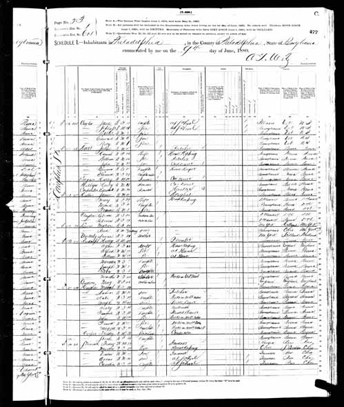 1880 United States Federal Census - Cornelia Malvina Slinack.jpg