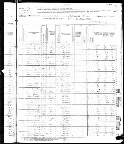 1880 United States Federal Census - David Hustead.jpg