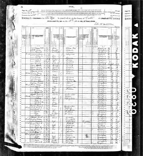 1880 United States Federal Census - David M Henney.jpg