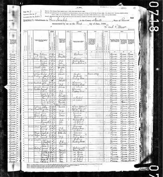 1880 United States Federal Census - Francis Long(1).jpg