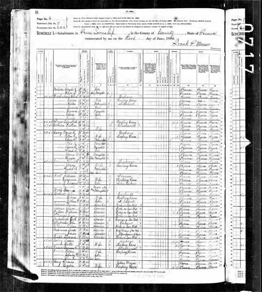 1880 United States Federal Census - Francis Long.jpg