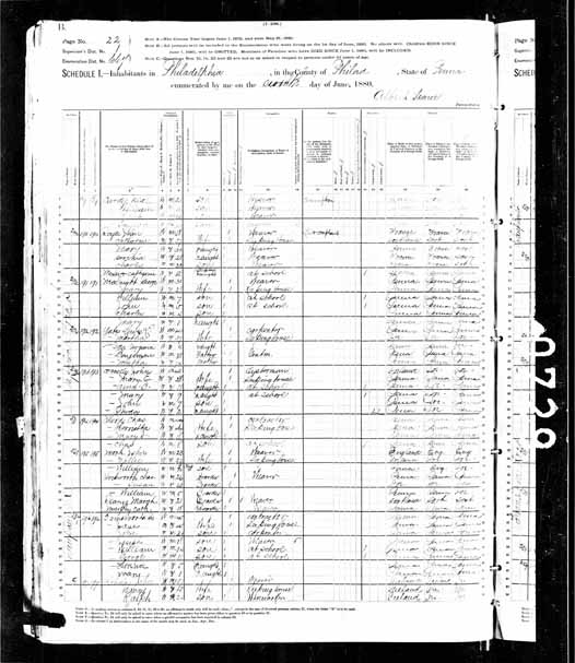 1880 United States Federal Census - George McKnigh.jpg