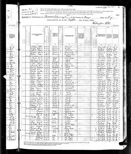 1880 United States Federal Census - George W Lane.jpg
