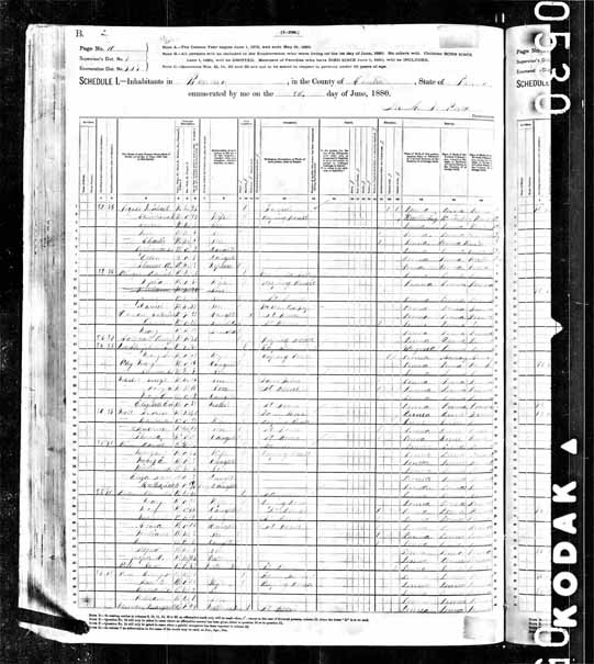 1880 United States Federal Census - Henry Franklin.jpg