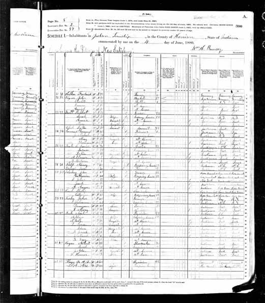 1880 United States Federal Census - John Isterling.jpg