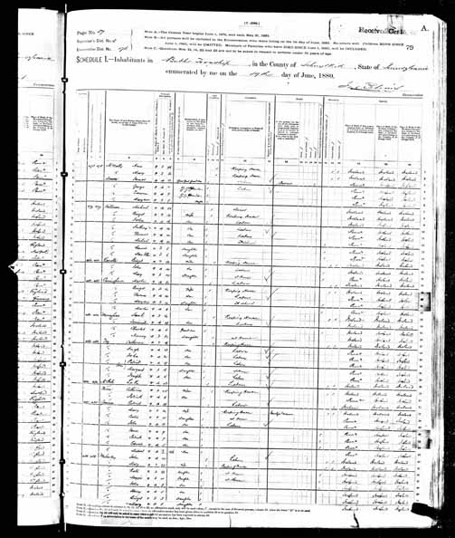 1880 United States Federal Census - John Joseph Mullarkey.jpg