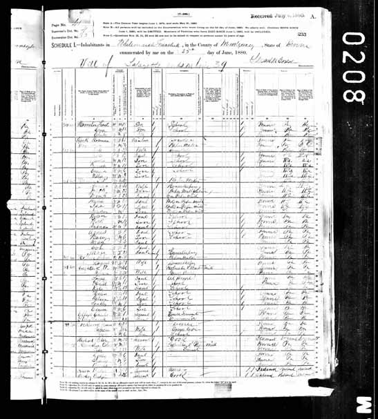 1880 United States Federal Census - Lindley V Righ.jpg