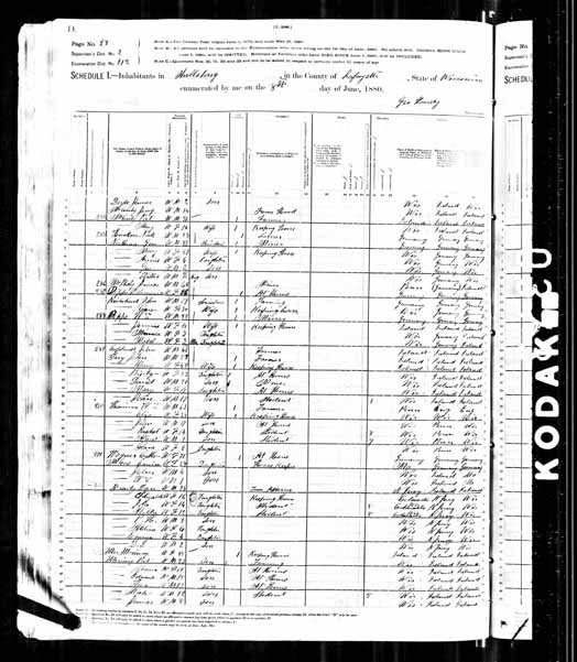 1880 United States Federal Census - Louisa Mary Wagner.jpg