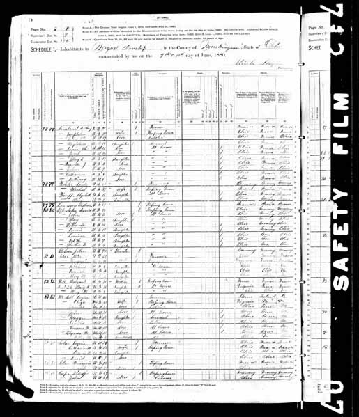 1880 United States Federal Census - Margaret Roll.jpg