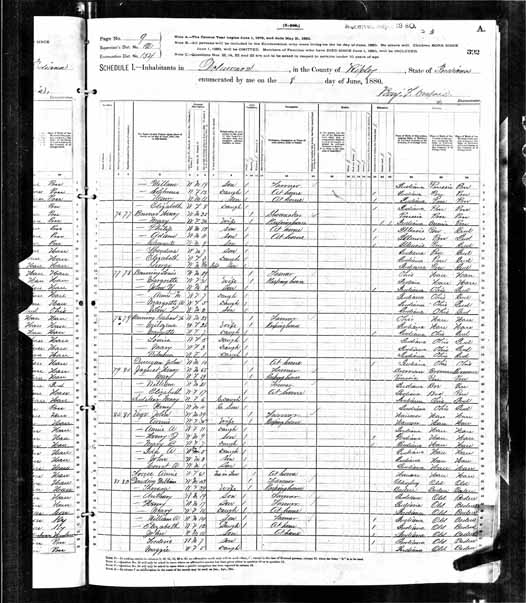 1880 United States Federal Census - Melosina Stadtlander.jpg