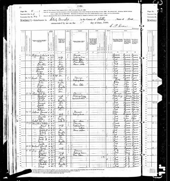 1880 United States Federal Census - Nickolaus Weintraut.jpg