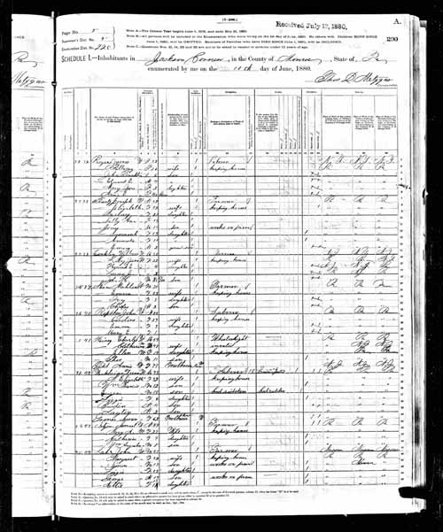 1880 United States Federal Census - Susanna Frantz.jpg