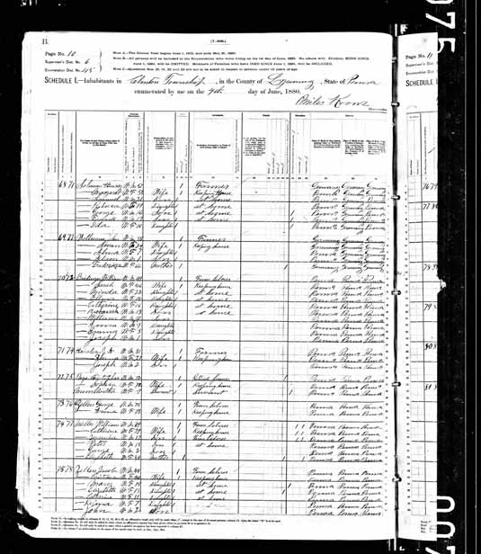 1880 United States Federal Census - William Breidinger.jpg