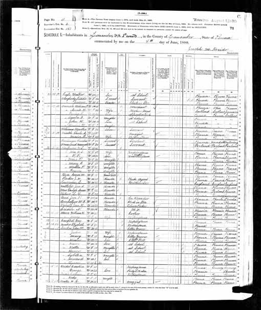 1880 United States Federal Census - William F Duncan.jpg