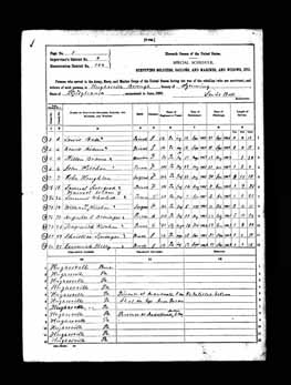 1890 Veterans Schedules - Augustus O Deininger