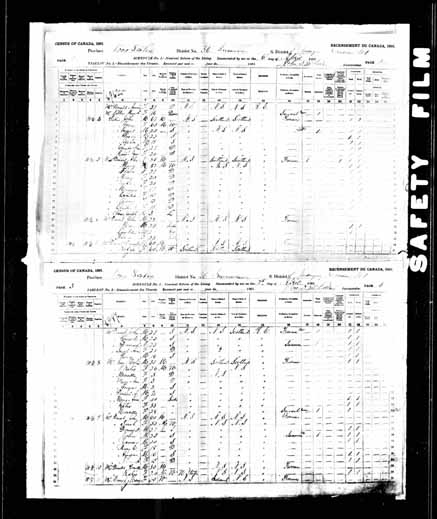 1891 Census of Canada - Hector Gillis.jpg