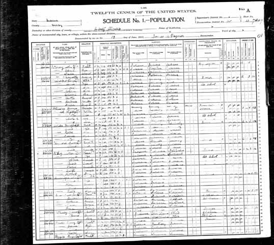 1900 United States Federal Census - Albert George Weintraut.jpg