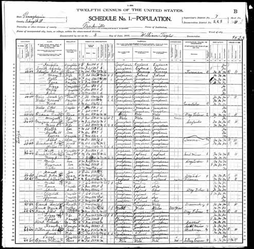 1900 United States Federal Census - Albert Kaup.jpg