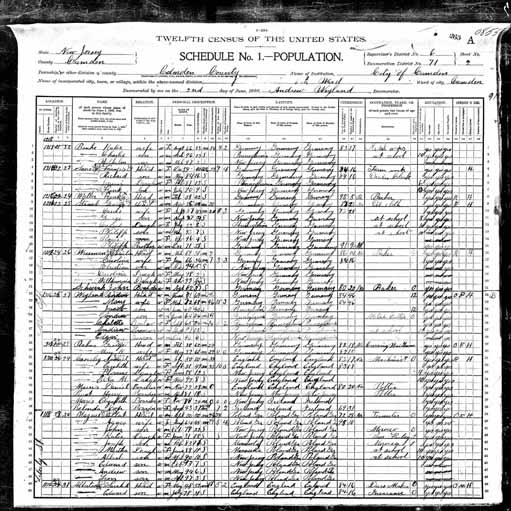 1900 United States Federal Census - Albert Mazur.jpg