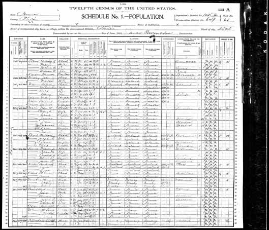 1900 United States Federal Census - Albert Sellenh.jpg