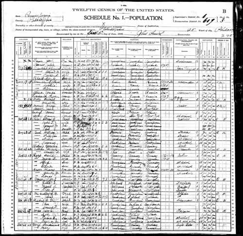 1900 United States Federal Census - Alfred David R.jpg