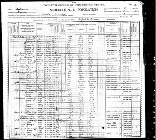 1900 United States Federal Census - Anna Elizabeth Flack.jpg