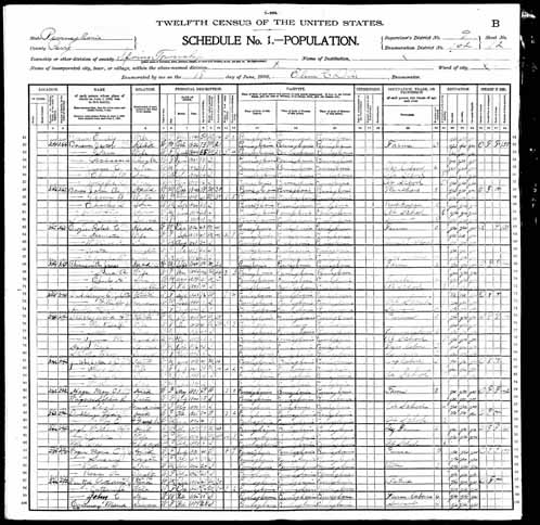 1900 United States Federal Census - Annetta C Crozier.jpg