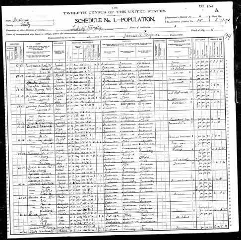 1900 United States Federal Census - Barbara Weintraut.jpg