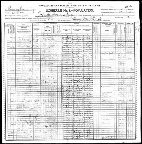 1900 United States Federal Census - Calvin R Weidensaul.jpg