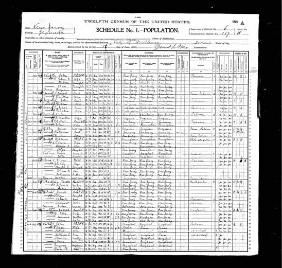 1900 United States Federal Census - Catharine Christianna Ladner.jpg
