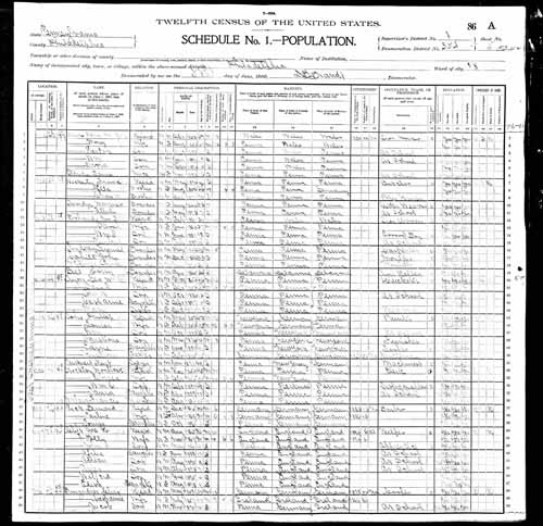 1900 United States Federal Census - Catherine Hay Tyron.jpg