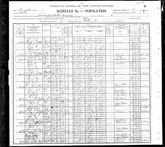 1900 United States Federal Census - Clayton W Reis.jpg