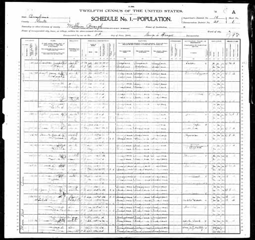 1900 United States Federal Census - David L Zerby.jpg