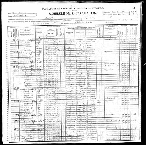 1900 United States Federal Census - David M Henney.jpg