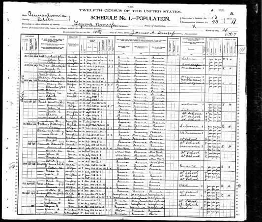 1900 United States Federal Census - Edith Cassel.jpg