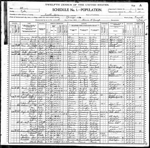 1900 United States Federal Census - Elizabeth Morg.jpg