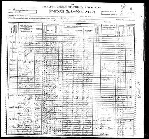 1900 United States Federal Census - Emma Louisa Deininger.jpg