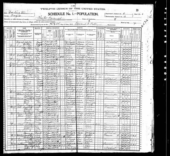 1900 United States Federal Census - Ephraim Halterman.jpg