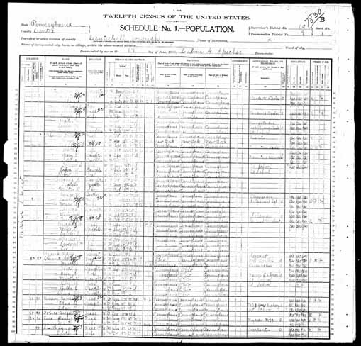 1900 United States Federal Census - Flode E Clements.jpg
